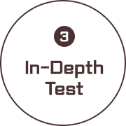 In-Depth Test